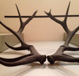 Decorative antlers from rural America.
